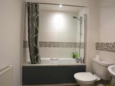 Picture 11